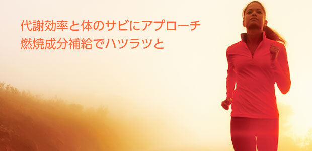 α-リポ酸&L-カルニチン ADVANCED FORMULA