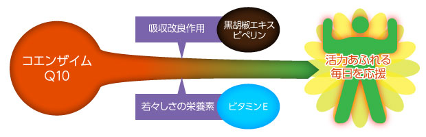 コエンザイムQ10