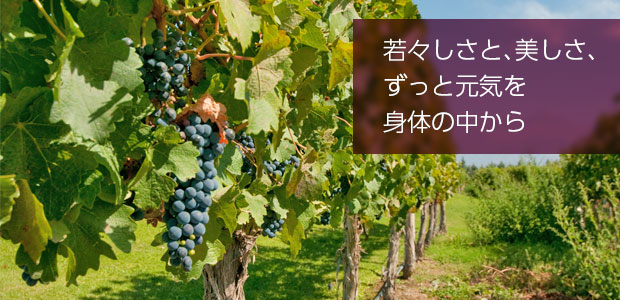 レスベラトロール&アスタキサンチン